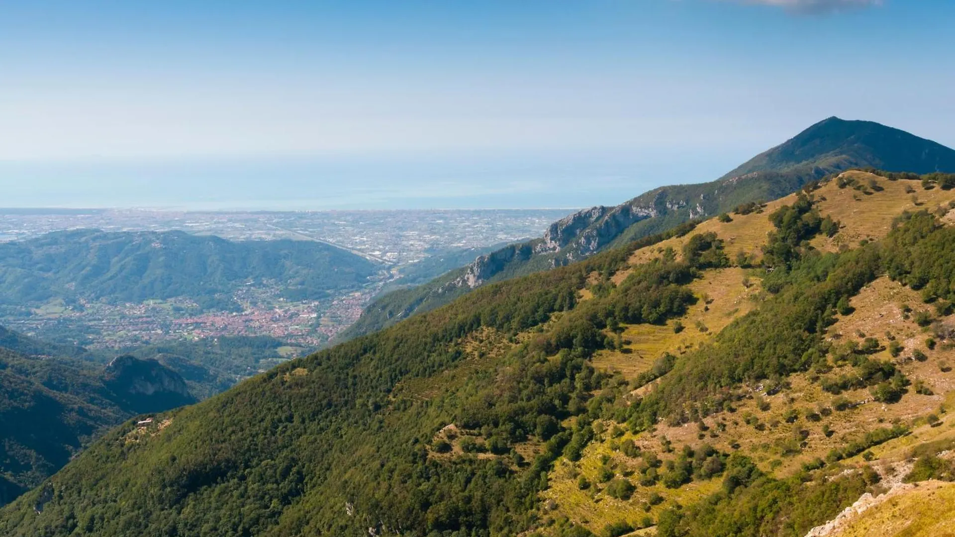 Tintoretto Apartments - Happy Rentals Lido di Camaiore Italy